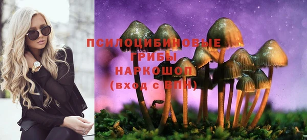 a pvp Горняк