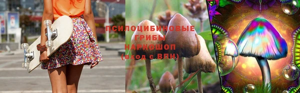 a pvp Горняк