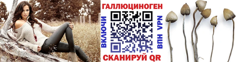 Купить где  Лесозаводск  Псилоцибиновые грибы Magic Shrooms 